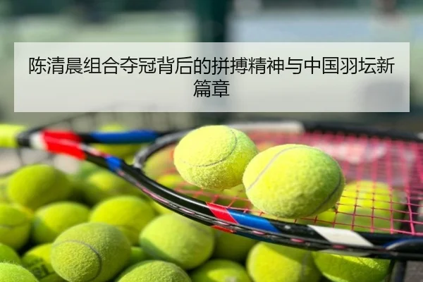 陈清晨组合夺冠背后的拼搏精神与中国羽坛新篇章